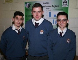 Students from Desmond College showed their Exhibitions to Past BT Young Scientist Competitors from Desmond College