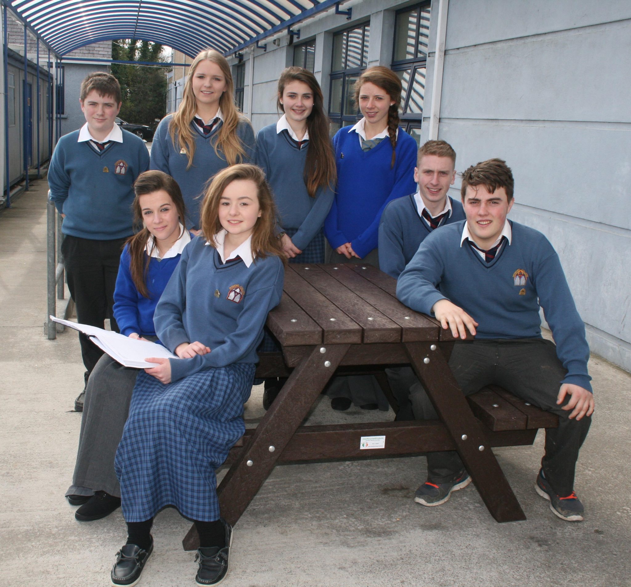 Desmond College Student Council Members 2013-2014