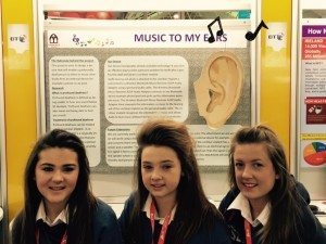 Desmond College Students Enjoying the BT Young Scientist : Music to my ears