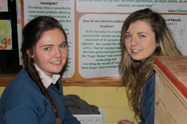 Terri Keane, Juie Cantillon and Ciara Carroll with their project A Statistical investigation into the treatment of the Verroa Mite and its effect on the Native Irish Apis Mellifera