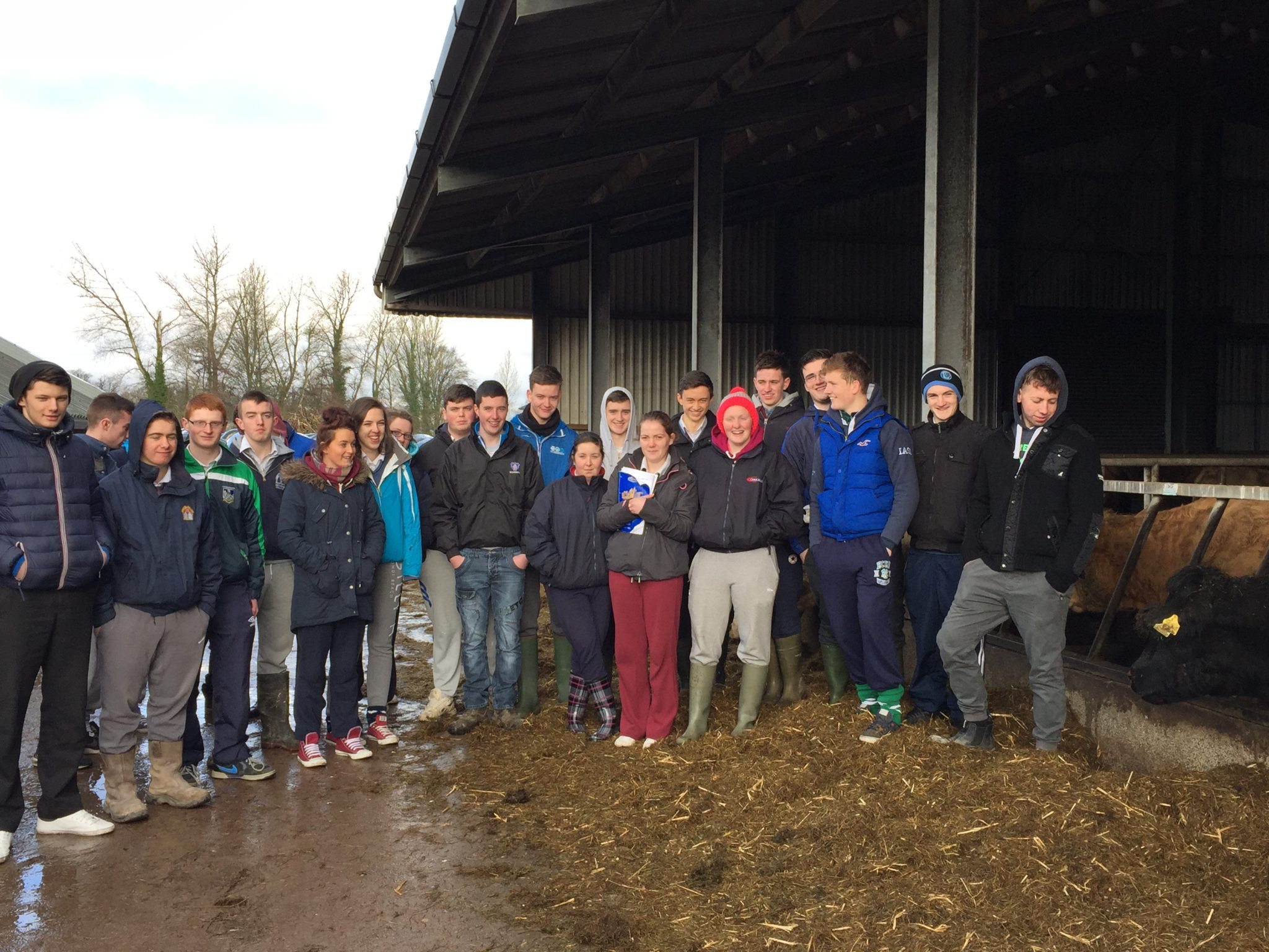 6th Year Pupils of Desmond College on a farm walk at Pallaskenry Agricultural College