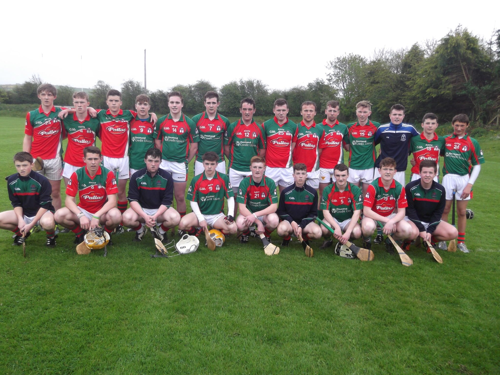 Desmond College Senior hurlers who were narrowly defeated by Hospital in Extra time in Ballingarry on Friday 24th April