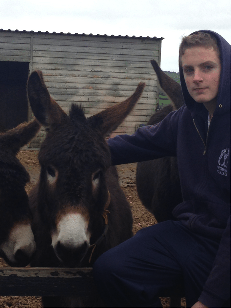 26 Nov 2015: Desmond College Adopt A Donkey