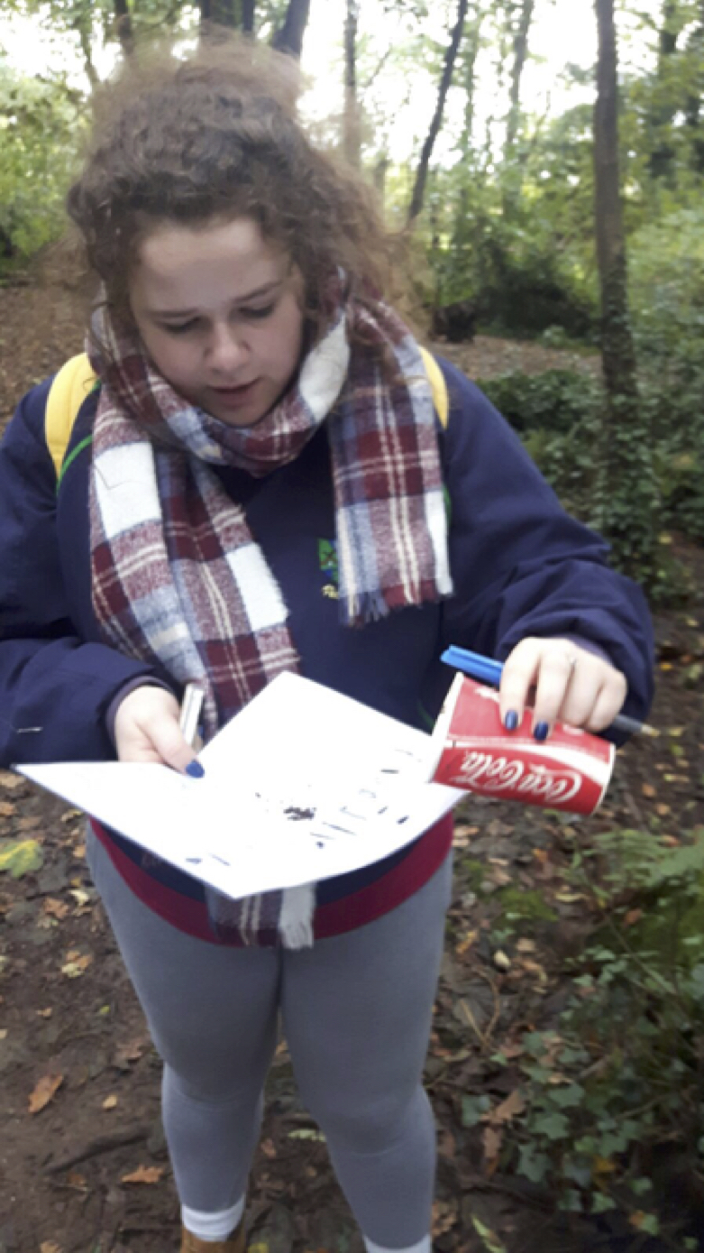 Sept 2017: Desmond College Leaving Certificate studenta assesses the insects she found in the habitat at Foto WildLife Park