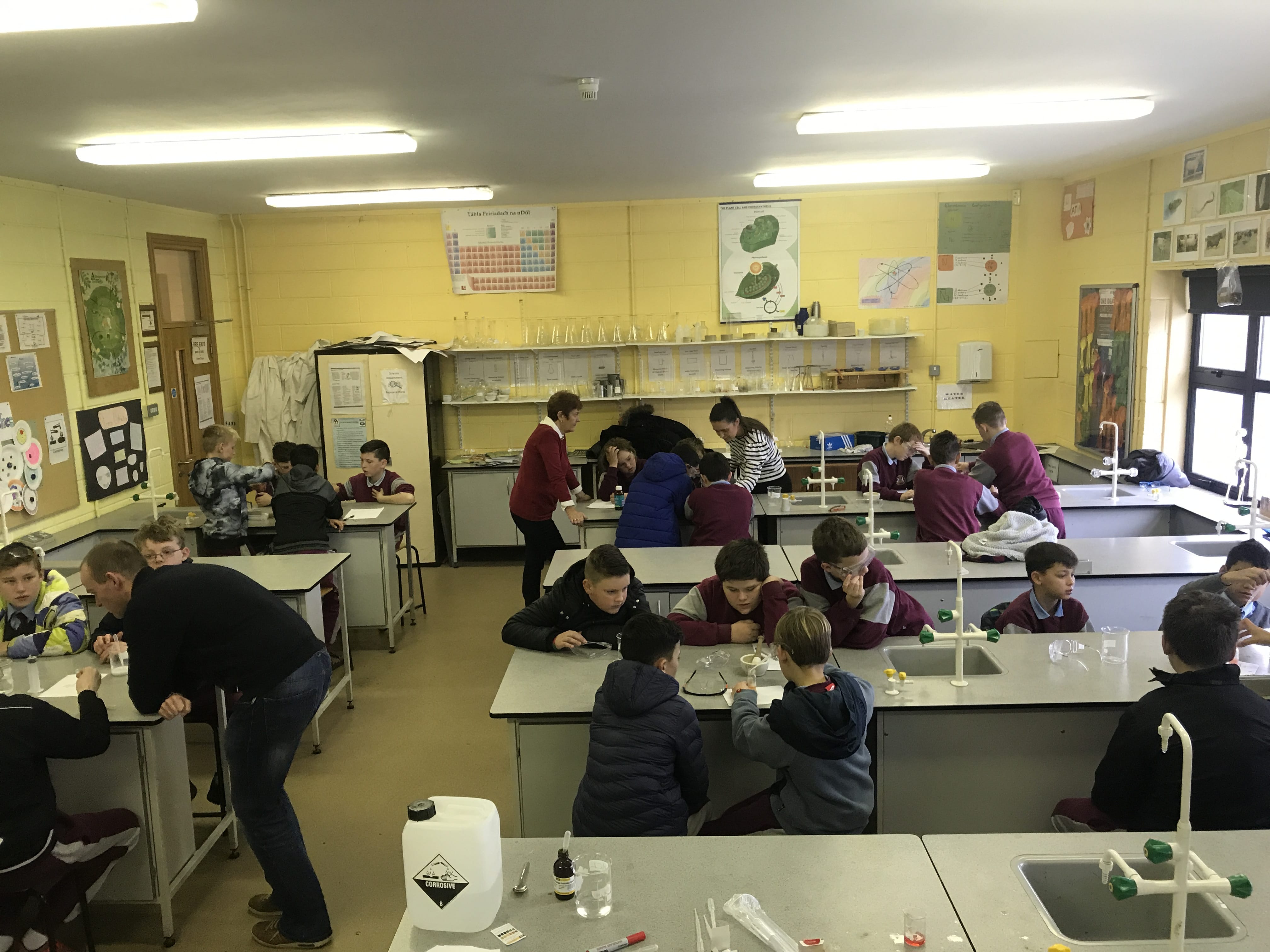 Desmond College students working with primary school students to put together a project for the Primary Science Fair in January 2018 