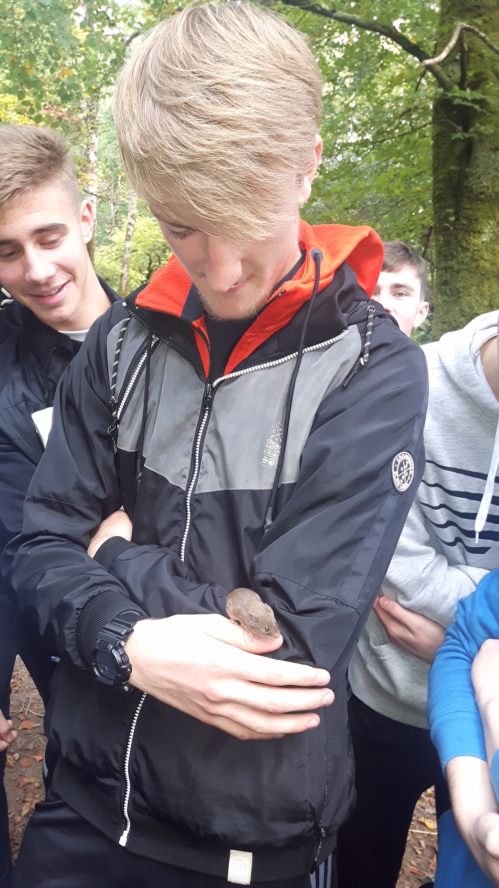 October 2018: The 6th Year Ecology Trip to Killarney